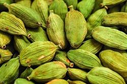 Loại hạt đắt đỏ bậc nhất thế giới, không ngờ có đầy ở Việt Nam