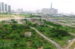 Đất nông nghiệp tự khai hoang, không tranh chấp sẽ được cấp sổ đỏ