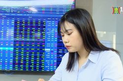 Đà giảm chứng khoán liệu có duy trì trong tuần tới?