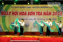 Ngày hội hoa sơn tra tại 'miền cổ tích' Ngọc Chiến