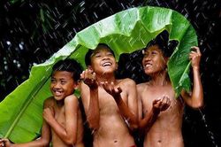 Khi trưởng thành, anh chị em ruột không còn là người một nhà