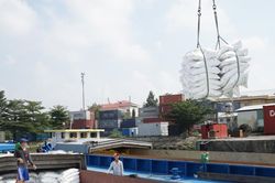 Chờ diễn biến mới của giá gạo