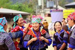 Sôi nổi Ngày hội hoa sơn tra tại Sơn La