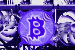 Khối lượng giao dịch Bitcoin tăng vọt trước sự kiện halving