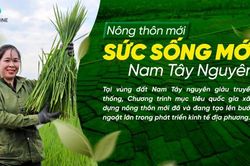Nông thôn mới - Sức sống mới Nam Tây Nguyên