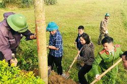 Xuân Phổ 'chuyển mình' cùng nông thôn mới kiểu mẫu
