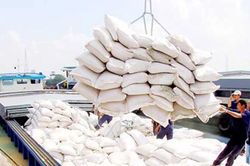 Gạo Việt Nam sang Senegal tăng 215%