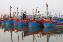 UBND tỉnh Thanh Hóa yêu cầu xử lý triệt để tàu cá 'ba không'