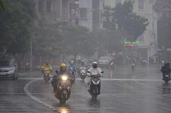 Dự báo thời tiết Nghệ An 12/3: Sáng và đêm trời rét, có mưa phùn rải rác