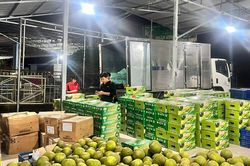 Tháng hành động vì hợp tác xã: Cú hích cho những mô hình hiệu quả