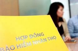 Bộ Tài chính có kế hoạch thanh tra đối với 6 doanh nghiệp bảo hiểm trong năm 2024