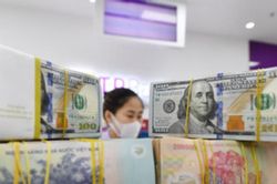 Giá USD tự do 'mất nhiệt', tiếp tục lao dốc