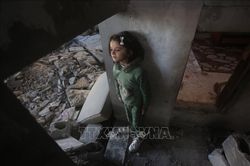 Cơ quan LHQ quan ngại về số trẻ em thiệt mạng ở Dải Gaza