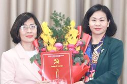 Hà Nội: Điều động, bổ nhiệm bà Nguyễn Tố Quyên giữ chức Phó Giám đốc Sở Khoa học và Công nghệ
