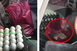 Hà Nội: 'Nhặt' được hơn 1 tỉ đồng trong ô tô, bà chủ bán trứng hốt hoảng trình báo Công an
