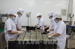 Phó Thống đốc Đào Minh Tú: Còn rất nhiều dư địa tăng trưởng tín dụng
