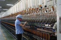Chủ tịch Vinatex kêu lãi vay vẫn cao, kiến nghị Chính phủ cứu doanh nghiệp sợi
