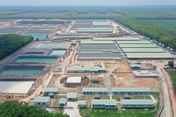 BaF Việt Nam (BAF) nâng công suất lên mức 1 triệu heo thương phẩm/năm