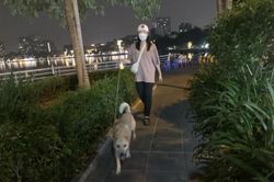 22 ca tử vong vì bệnh dại, Bộ Y tế khuyến cáo khẩn