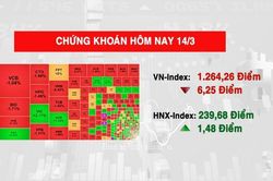 Chứng khoán 14/3, VN-Index xoay chiều giảm điểm