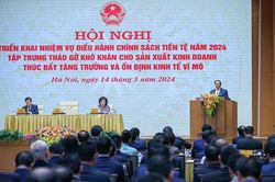 Thủ tướng: Việc xử lý các ngân hàng thương mại yếu kém còn chậm