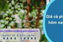 Giá cà phê hôm nay 15/3: Robusta đảo chiều tăng