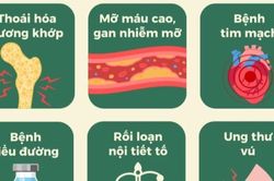 Tác hại nguy hiểm của mỡ thừa ở vùng bụng đối với sức khỏe của con người