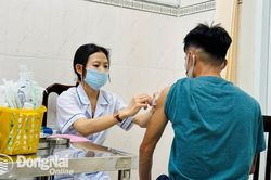 Yêu cầu các hộ nuôi chó mèo ký cam kết về nuôi nhốt, quản lý, tiêm vaccine phòng dại