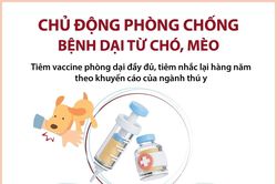 Chủ động phòng chống bệnh dại từ chó, mèo