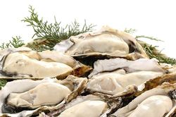 Bí quyết tách vỏ hàu vừa nhanh vừa dễ lại không đau tay