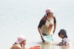 Mùa hến về trên Tây Nguyên