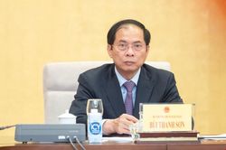 Hôm nay Bộ trưởng Ngoại giao và Bộ trưởng Tài chính trả lời chất vấn