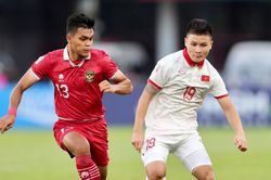 Đội tuyển Việt Nam có thể hạ Indonesia trên sân khách