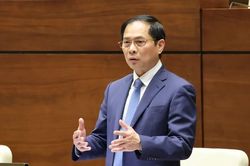 Đau xót vụ 'chuyến bay giải cứu', Bộ trưởng Bộ Ngoại giao đưa ra nhiều biện pháp ngăn tiêu cực