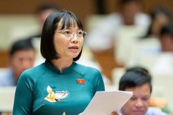 Ủy ban Thường vụ Quốc hội chất vấn nhiều Bộ trưởng