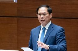 Bộ trưởng Ngoại giao: Xử nghiêm các đường dây đưa người ra nước ngoài làm việc trái luật