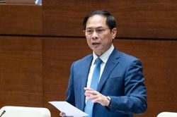 Bộ trưởng Tài chính, Ngoại giao trả lời chất vấn