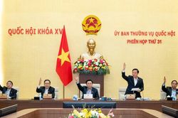 Thành lập 2 thành phố Bến Cát ở Bình Dương và Gò Công thuộc Tiền Giang