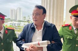 Hình ảnh Chủ tịch HĐQT Tân Hoàng Minh Đỗ Anh Dũng hầu tòa
