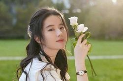 Trong 10 sao nữ Hoa ngữ, 'Bạch nguyệt quang' trong tâm trí bạn là ai? Netizen: Chỉ có trẻ con mới đưa ra lựa chọn