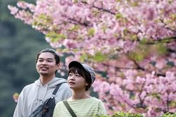 Nhật Bản chấm dứt kỷ nguyên lãi suất âm: Lịch sử mới cho nền kinh tế