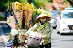 Nắng nóng sắp đổ bộ miền Bắc, nhiệt độ cao ngất ngưởng