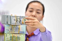 100.000 tỷ đồng đã được hút về qua kênh tín phiếu, liệu tỷ giá sẽ sớm hạ nhiệt?