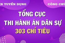 Thông báo tuyển dụng công chức trong hệ thống Thi hành án Dân sự năm 2024