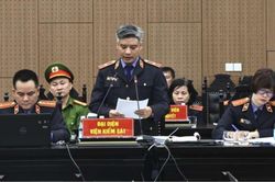 Chủ tịch Tập đoàn Tân Hoàng Minh bị đề nghị 9-10 năm tù