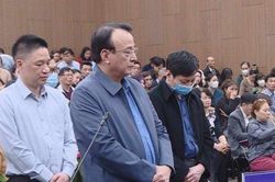 Chủ tịch Tân Hoàng Minh mong 'mức án phù hợp với hành vi'