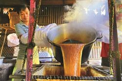 'Thủ phủ' thốt nốt