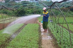 Một thoáng La Hường