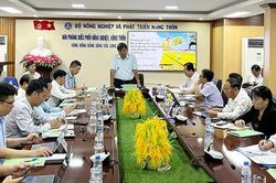 Trồng lúa gạo giảm phát thải khí nhà kính