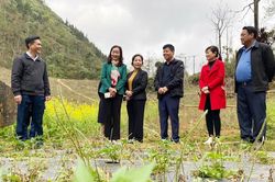 Nâng cao chất lượng giám sát chuyên đề của HĐND tỉnh